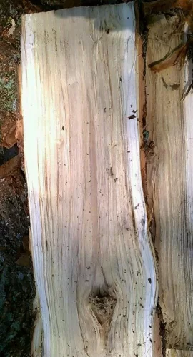 [Hearth.com] wood id please help