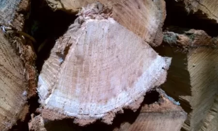[Hearth.com] wood id please help
