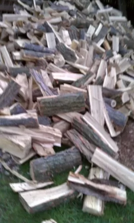 [Hearth.com] wood id please help