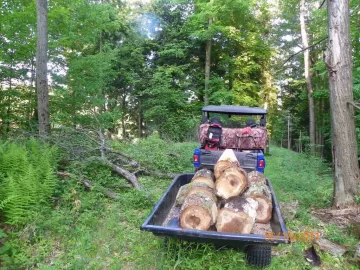 [Hearth.com] Went up for Beech..........................