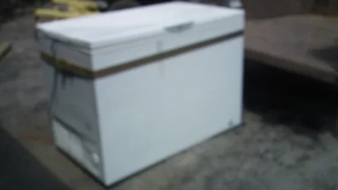 [Hearth.com] How big of a freezer?