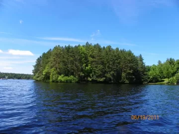 [Hearth.com] Stayed out of the Woods Today