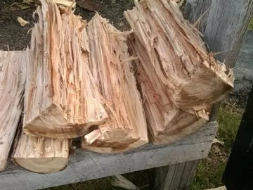 [Hearth.com] Three Year Old Sugar Maple Rounds