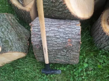 [Hearth.com] Oak Question (Pic)