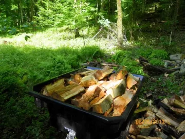 [Hearth.com] More Beech Part 2