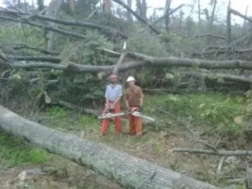 [Hearth.com] Tornado Cleanup Part Deux