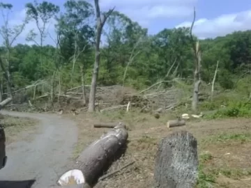 [Hearth.com] Tornado Cleanup Part Deux