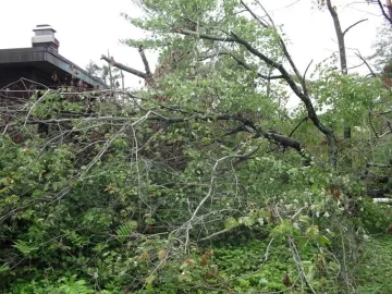 [Hearth.com] Tornado Cleanup Part Deux