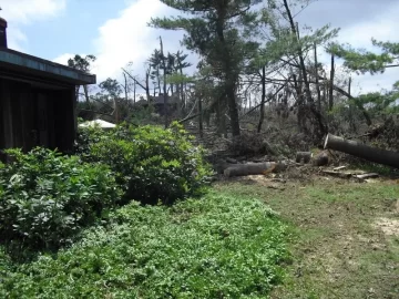[Hearth.com] Tornado Cleanup Part Deux
