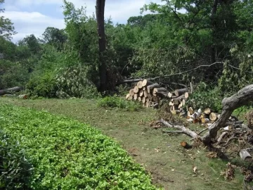 [Hearth.com] Tornado Cleanup Part Deux