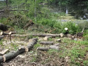 [Hearth.com] Tornado Cleanup Part Deux