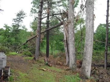 [Hearth.com] Tornado Cleanup Part Deux