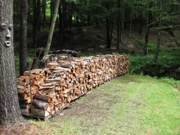 [Hearth.com] Two cords stacked this weekend