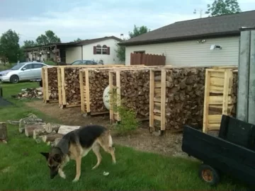 [Hearth.com] Got my Wood for this winter (Finally Done)
