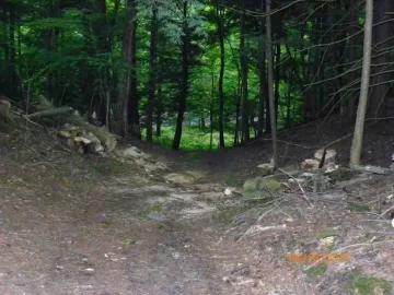 [Hearth.com] Trail Opened Up