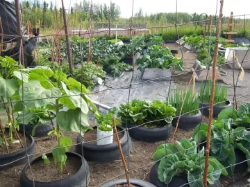 [Hearth.com] Alaska Garden Pictures (updates)