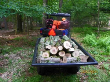 [Hearth.com] Small Sugar Maple Limb