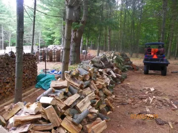 [Hearth.com] Small Sugar Maple Limb