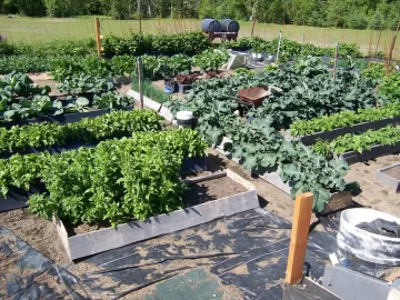 [Hearth.com] Alaska Garden Pictures (updates)
