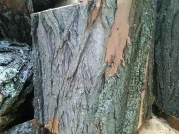 [Hearth.com] Wood ID