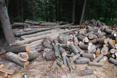 [Hearth.com] and yet another wood id....