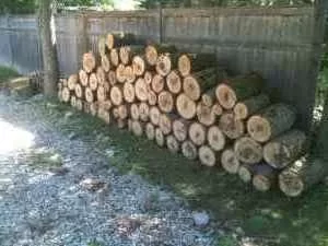 [Hearth.com] Sweetgum score...would you go for it?