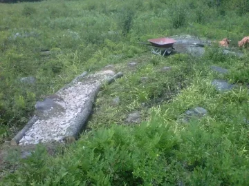 [Hearth.com] dropped a cherry tree today...but not for firewood