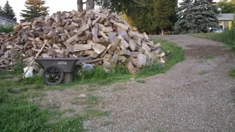 [Hearth.com] Would you burn wood sprayed by a skunk?