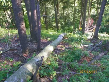 [Hearth.com] New Trail Opened