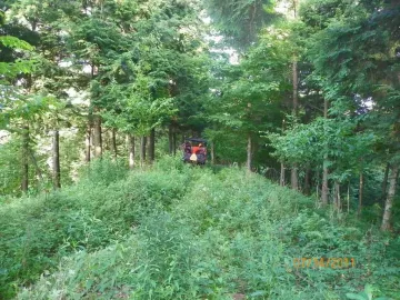 [Hearth.com] New Trail Opened