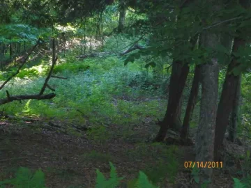 [Hearth.com] New Trail Opened
