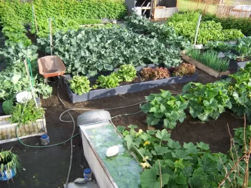[Hearth.com] Alaska Garden Pictures (updates)