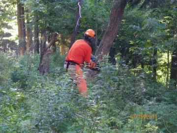 [Hearth.com] Ironwood Down..........................