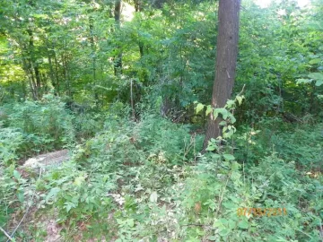 [Hearth.com] Ironwood Down..........................