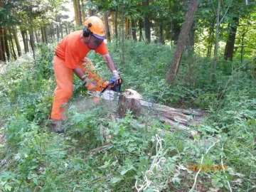 [Hearth.com] Ironwood Down..........................