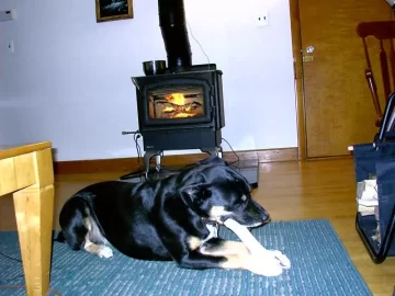 [Hearth.com] Things to look for in a used stove