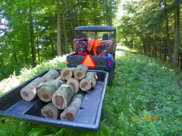 [Hearth.com] Beech Blowdown