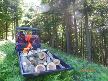 [Hearth.com] Beech Blowdown
