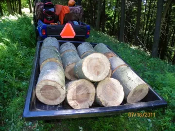 [Hearth.com] Beech Blowdown