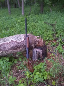[Hearth.com] Chainsaw Not Required