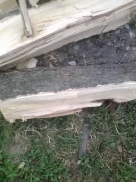 [Hearth.com] wood id