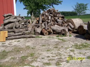 [Hearth.com] How many wood piles do you have?