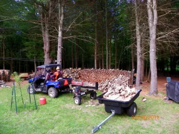 [Hearth.com] One Load of Beech