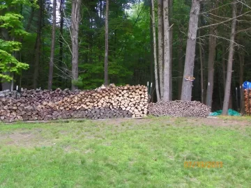 [Hearth.com] One Load of Beech