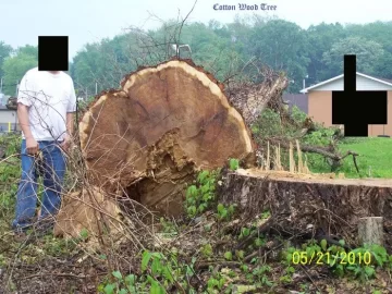[Hearth.com] How many wood piles do you have?