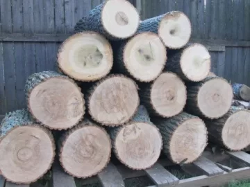 [Hearth.com] Ash or Poplar?