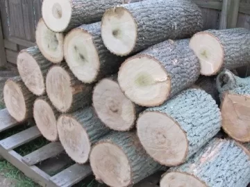 [Hearth.com] Ash or Poplar?
