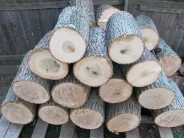 [Hearth.com] Ash or Poplar?