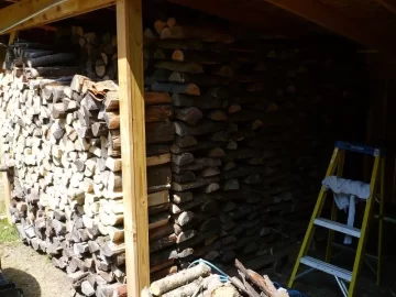 [Hearth.com] The Wood Shed- an update