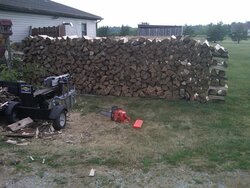 How many wood piles do you have?